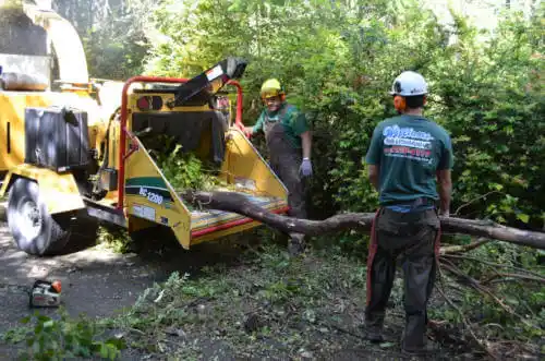 tree services College Station